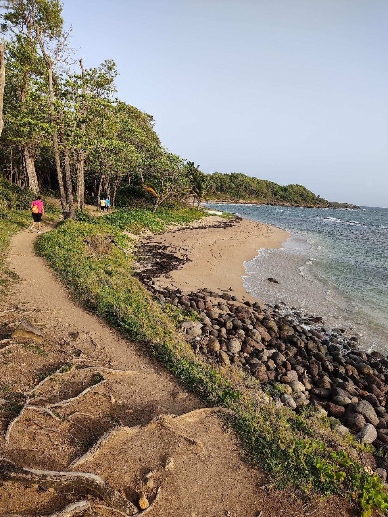 Sandee Plage La Ramee