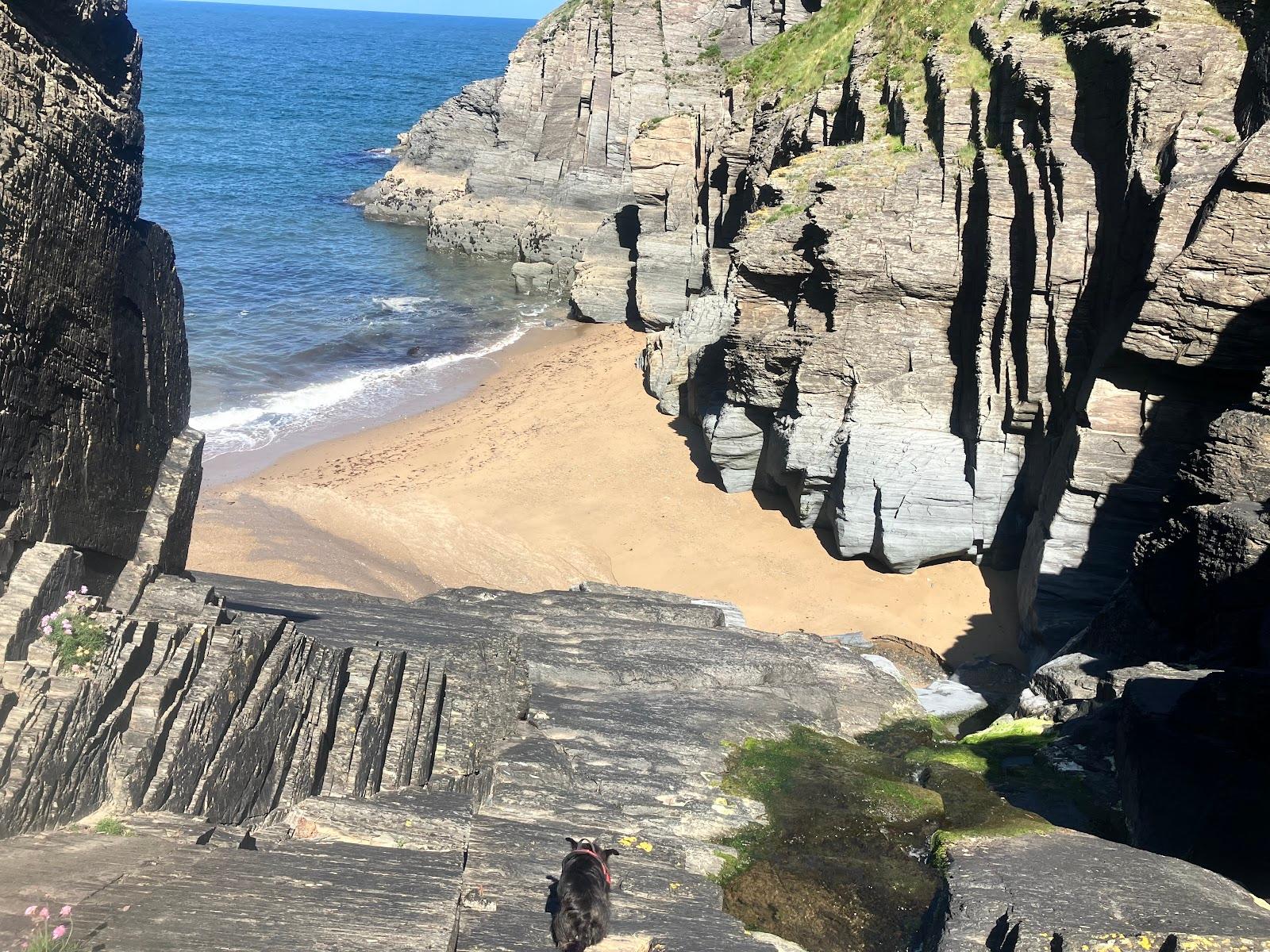 Sandee Traeth Gwrddon Beach