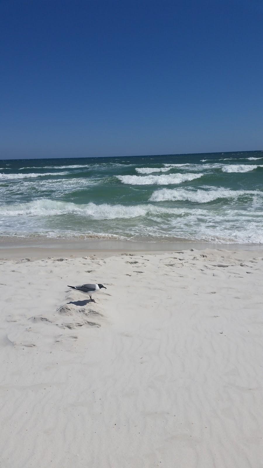 Sandee Roma Beach