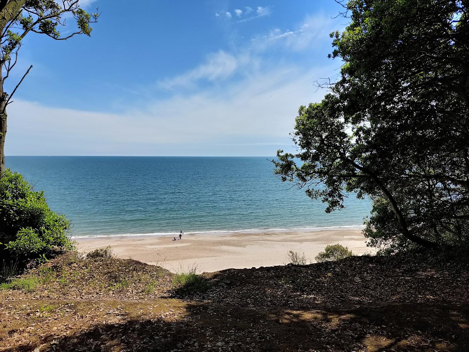Sandee Highcliffe Castle Beach
