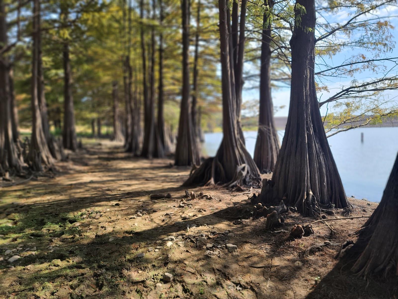 Sandee Waveland Park Recreation Area