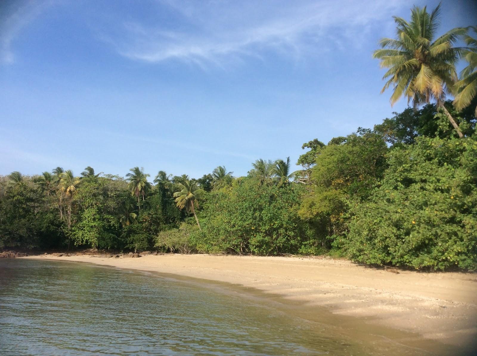 Sandee Panyang Beach
