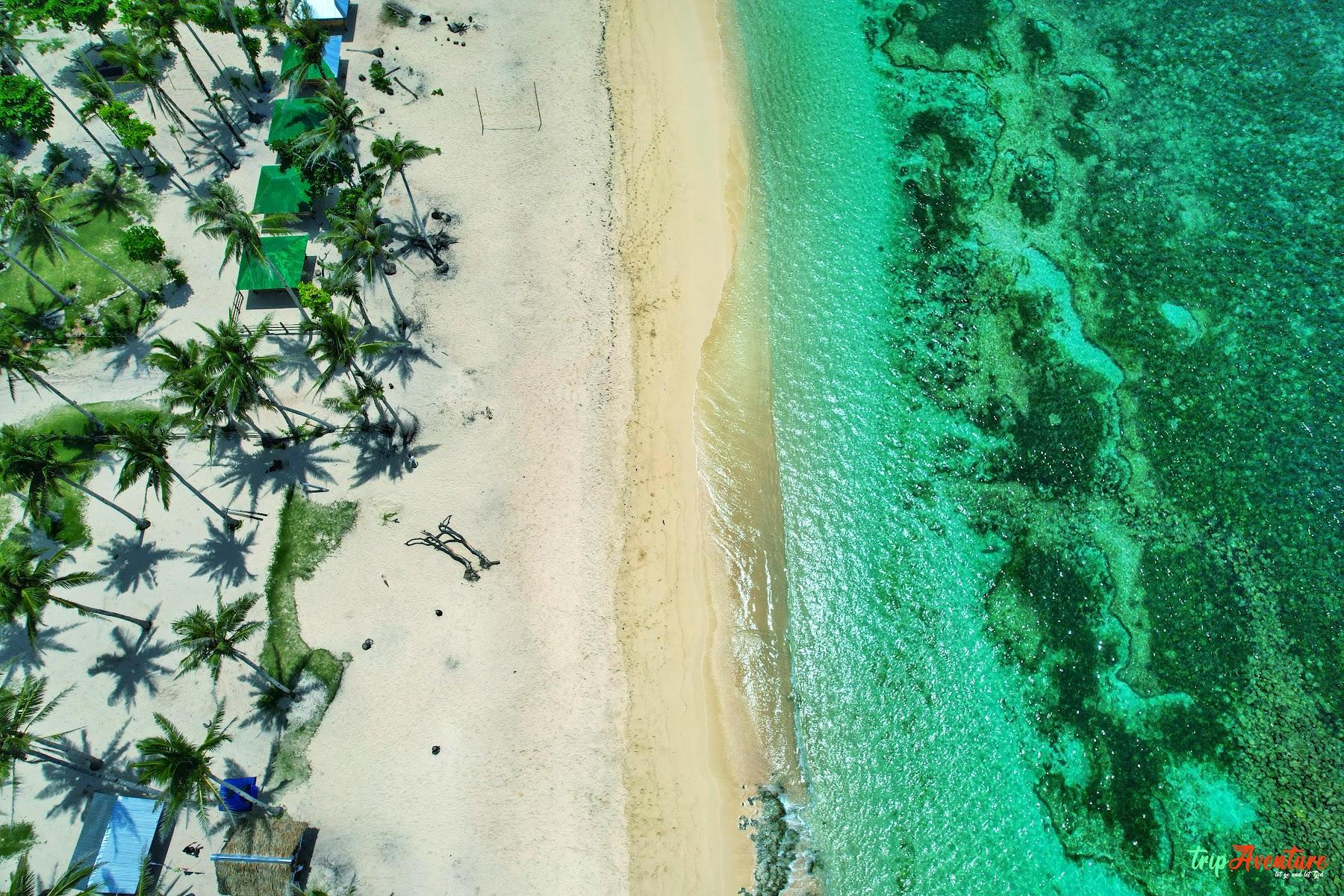 Sandee Alegria Beach
