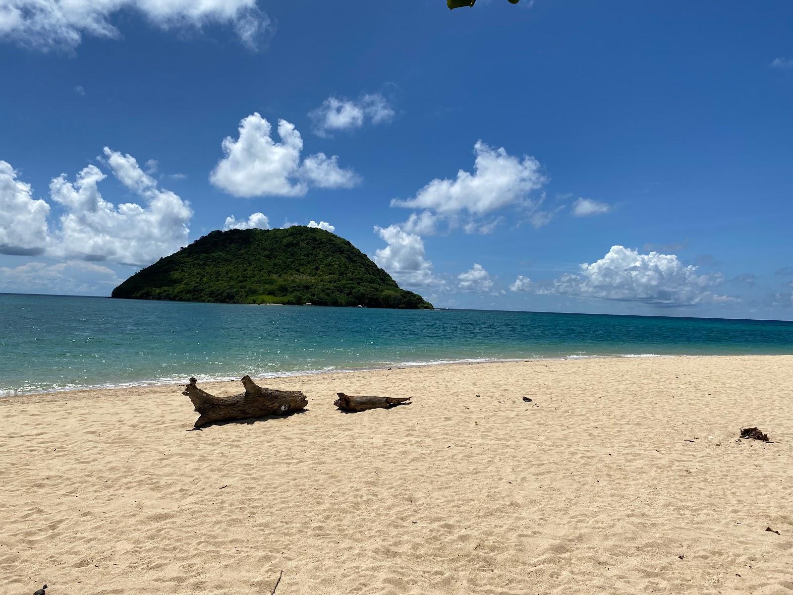 Sandee Tanjung Buaya Beach