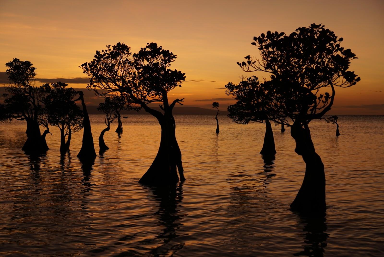 Sandee Lawena Beach