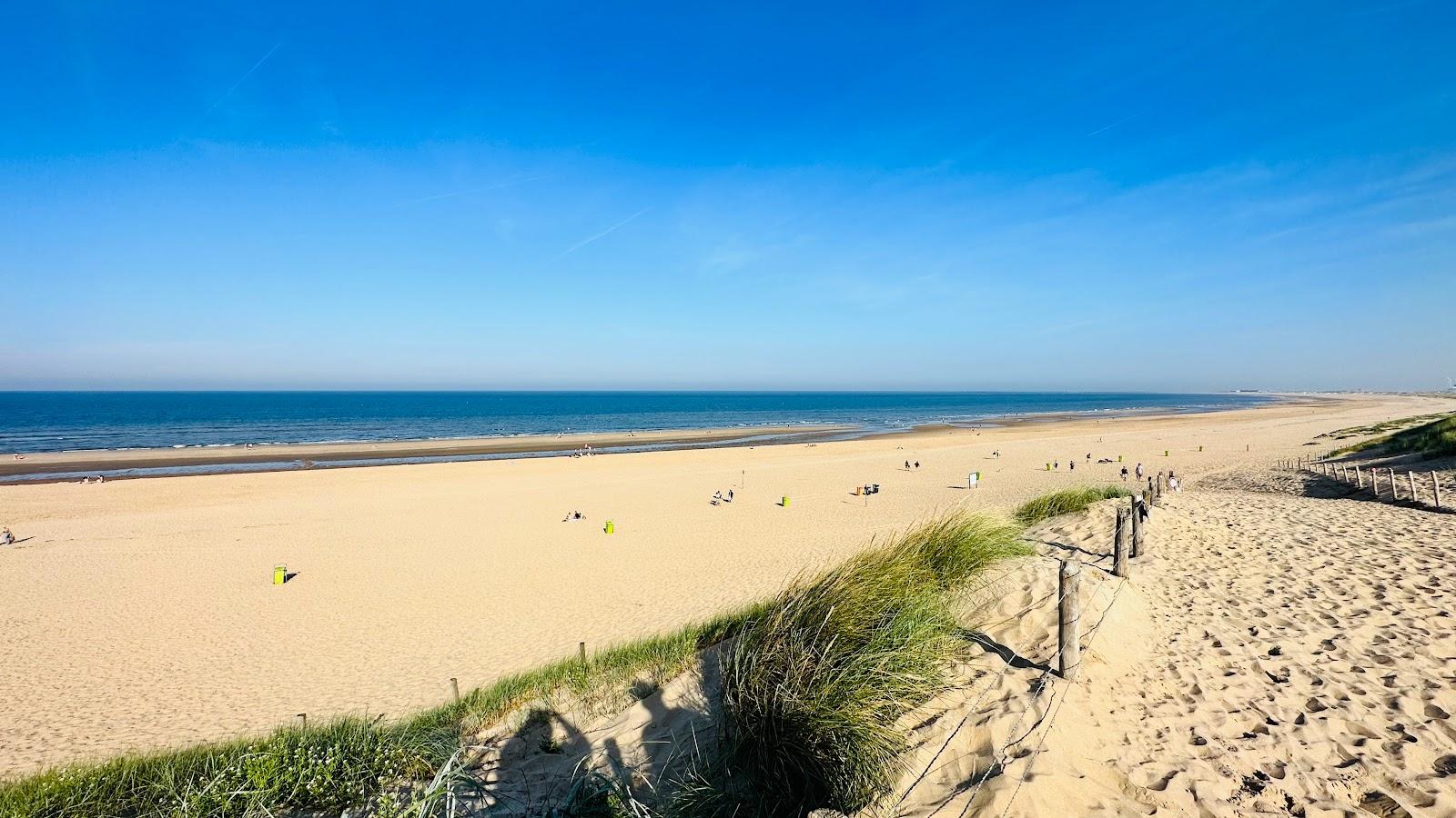 Sandee Parnassia Aan Zee