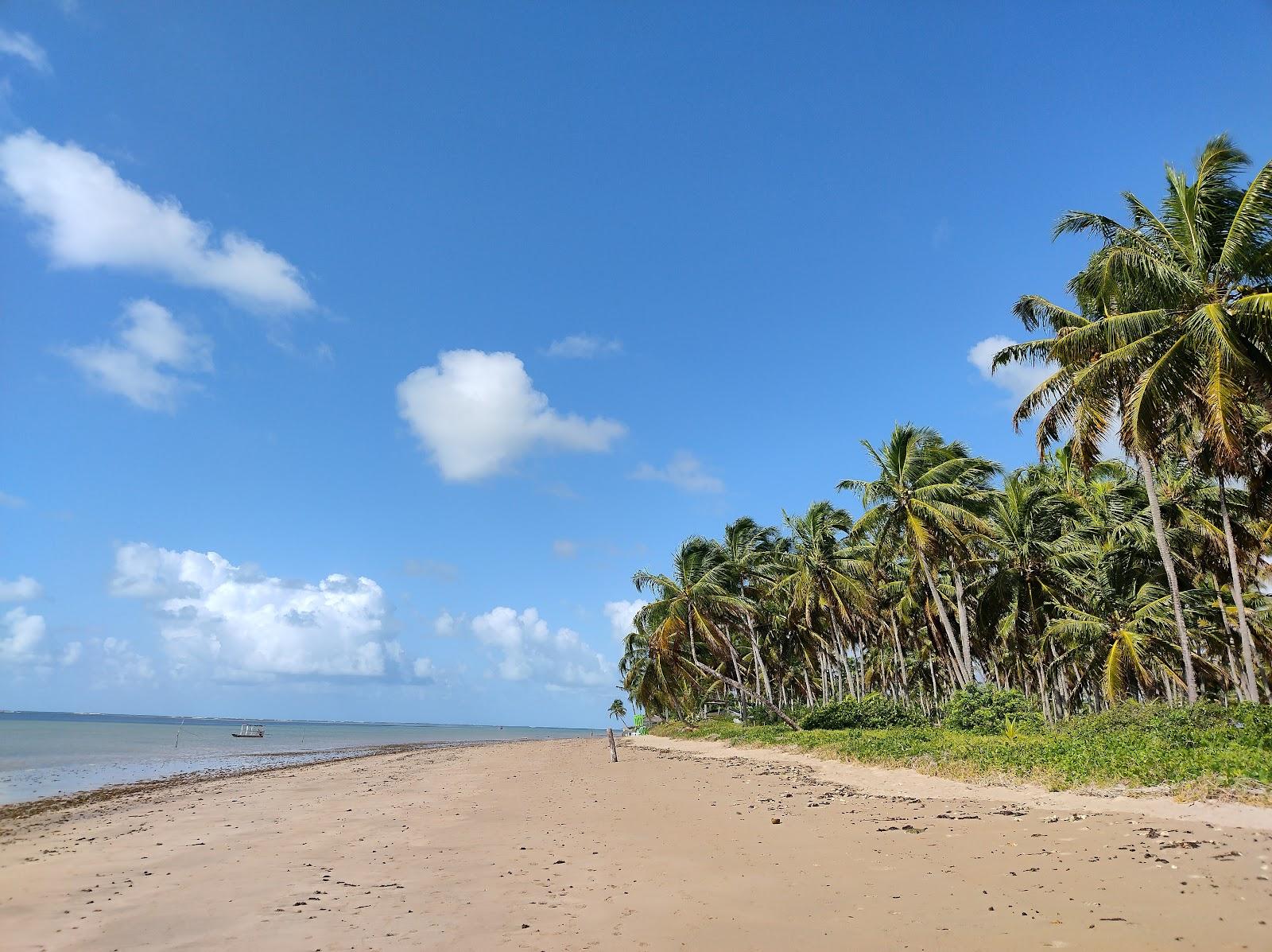 Sandee Praia Do Patacho - Rota Ecologica Costa Dos Corais