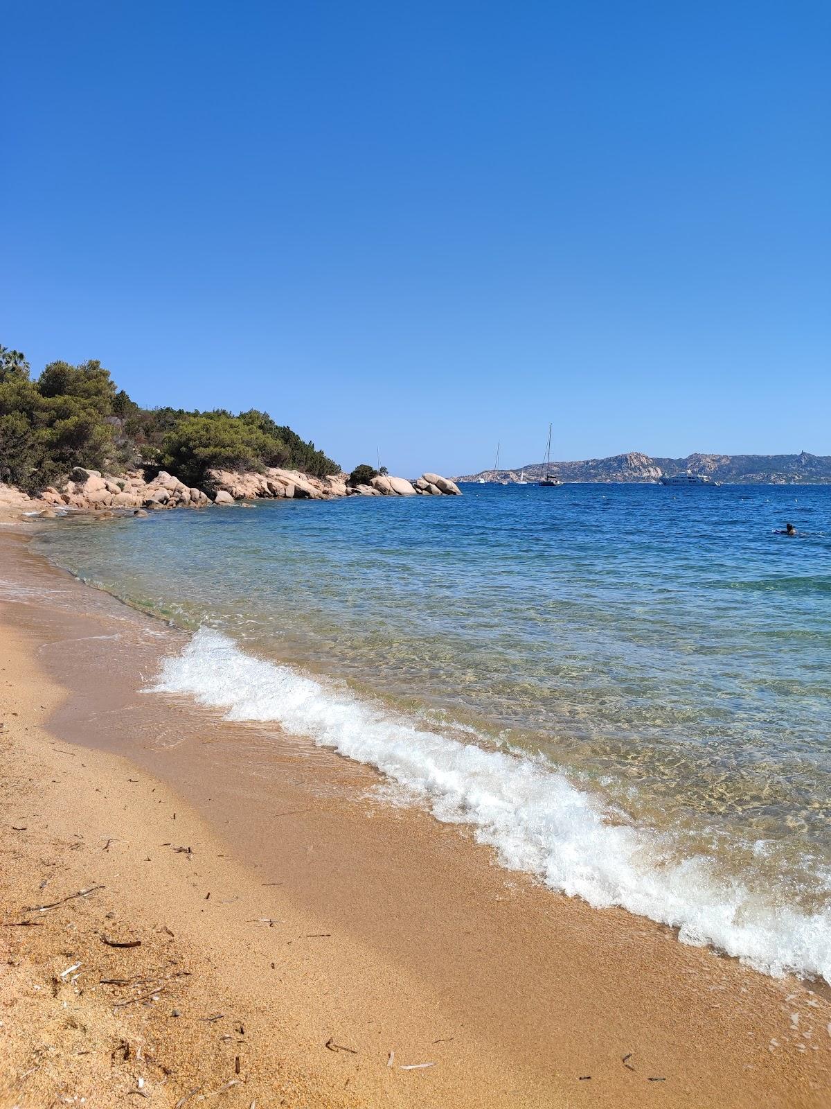 Sandee Spiaggia Di Nelson