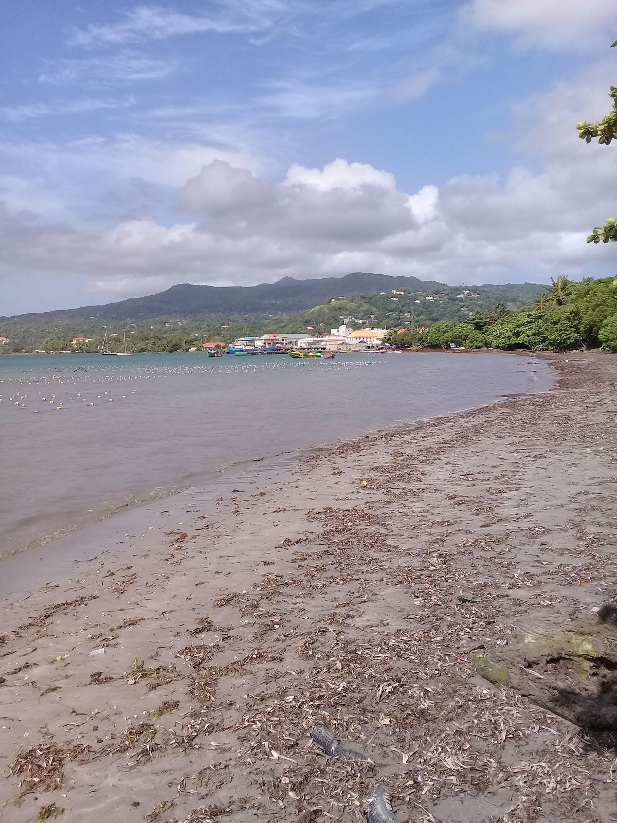 Sandee Grenville Bay