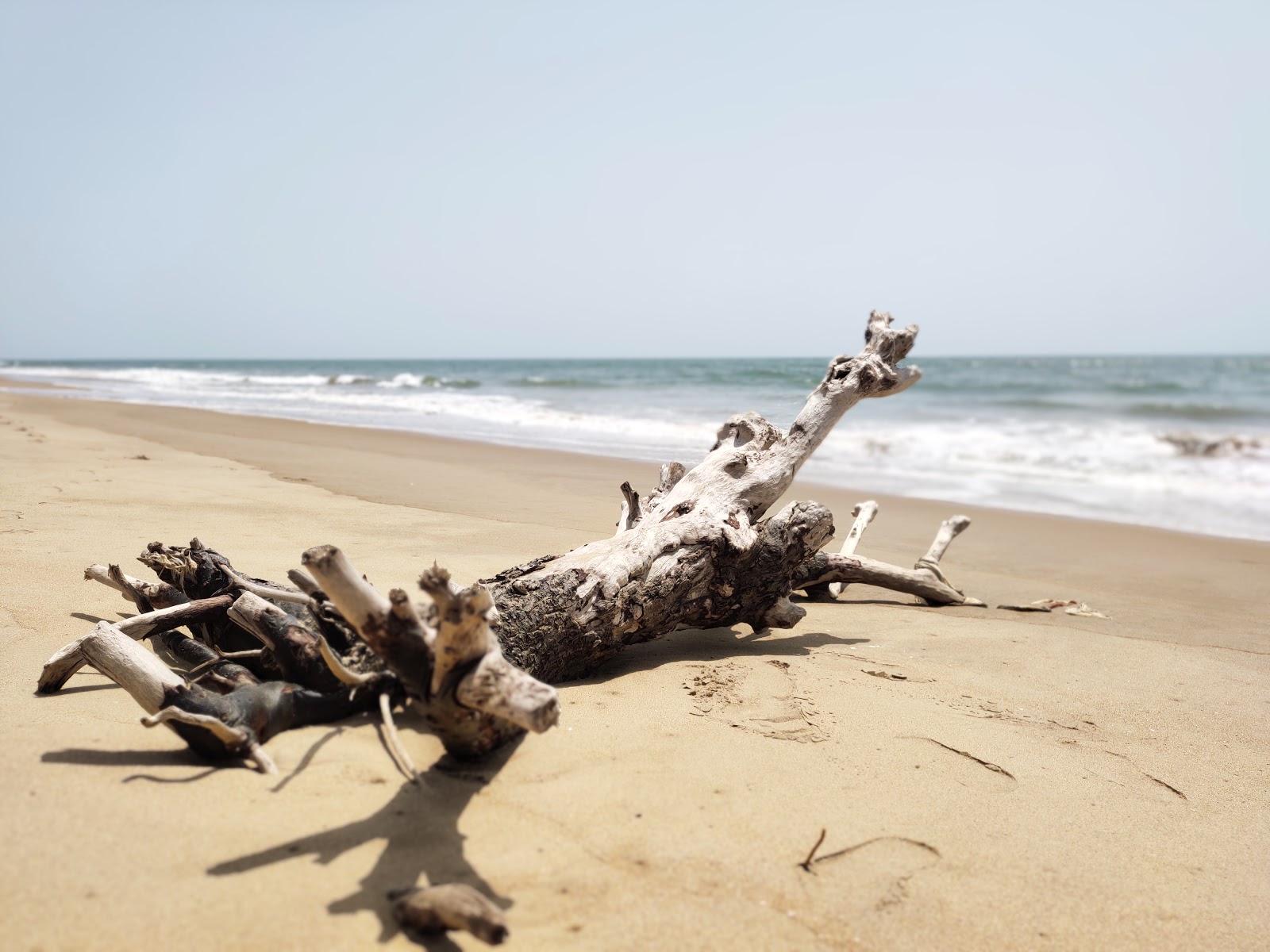 Sandee Gangavali Beach