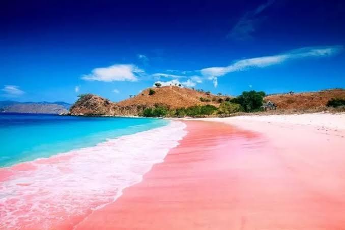 Sandee Bolfa Beach