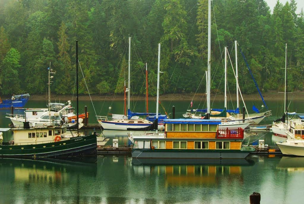 Sandee Jarrell's Cove Marina