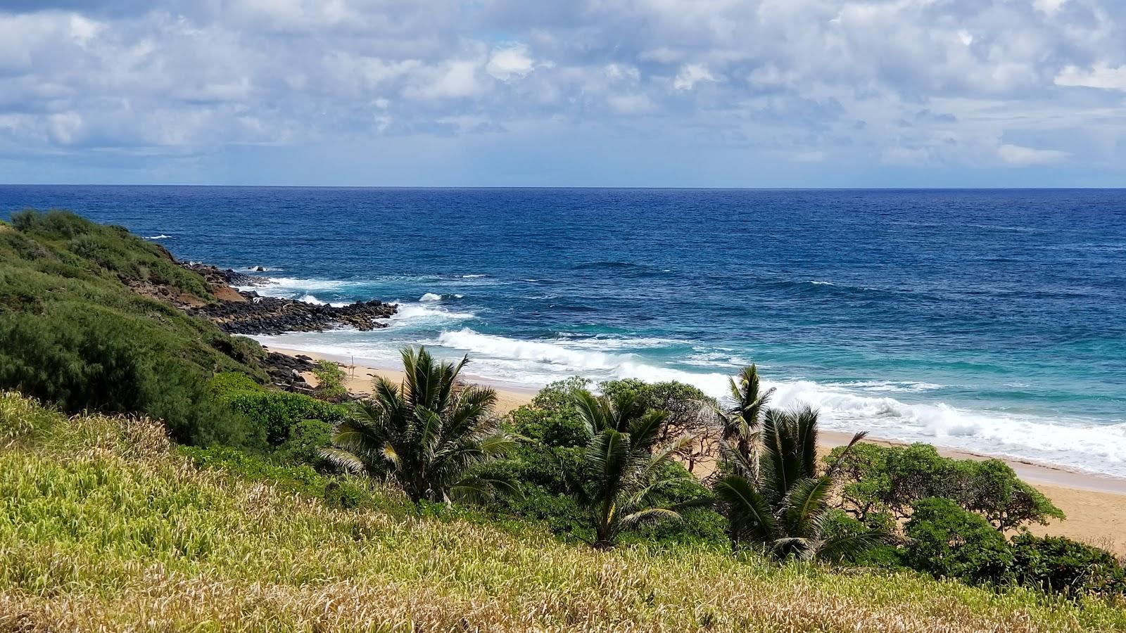 Sandee Donkey Beach