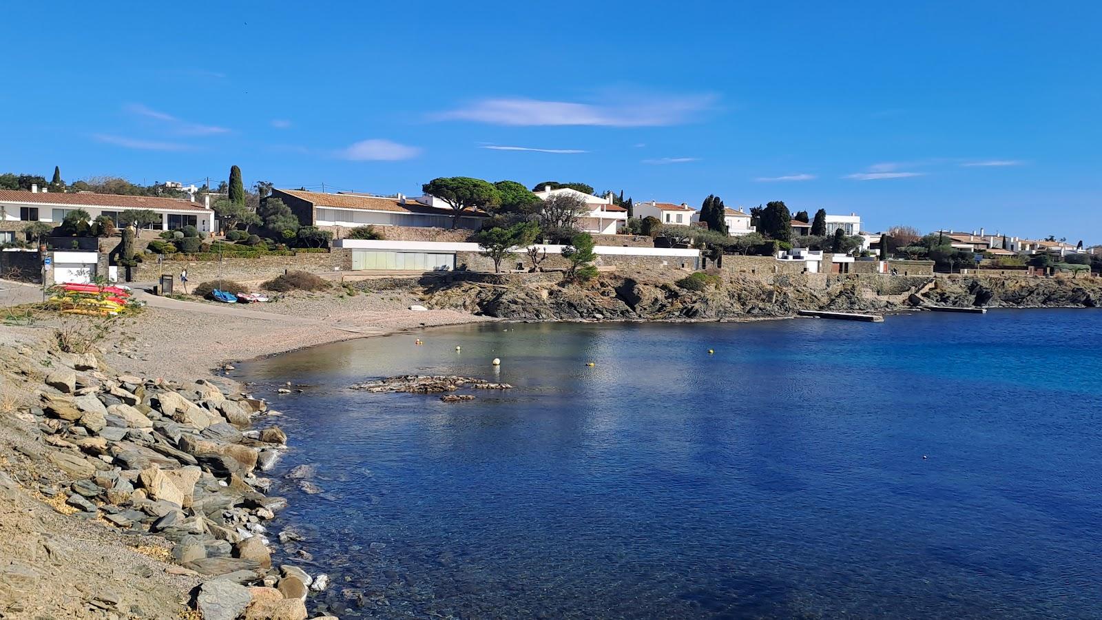 Sandee Ses Oliveres
