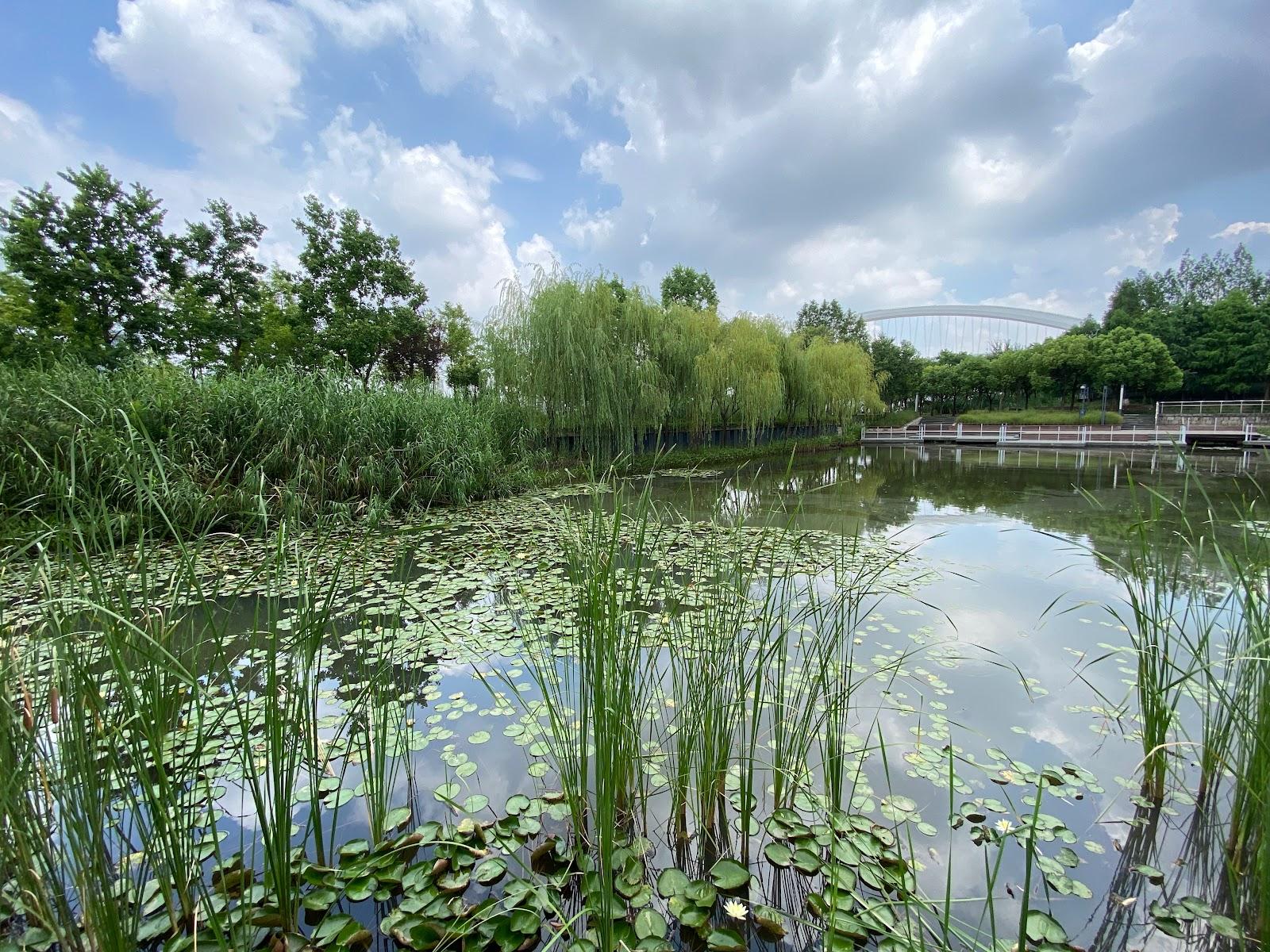 Sandee - HomePage / Shang Hai Shi