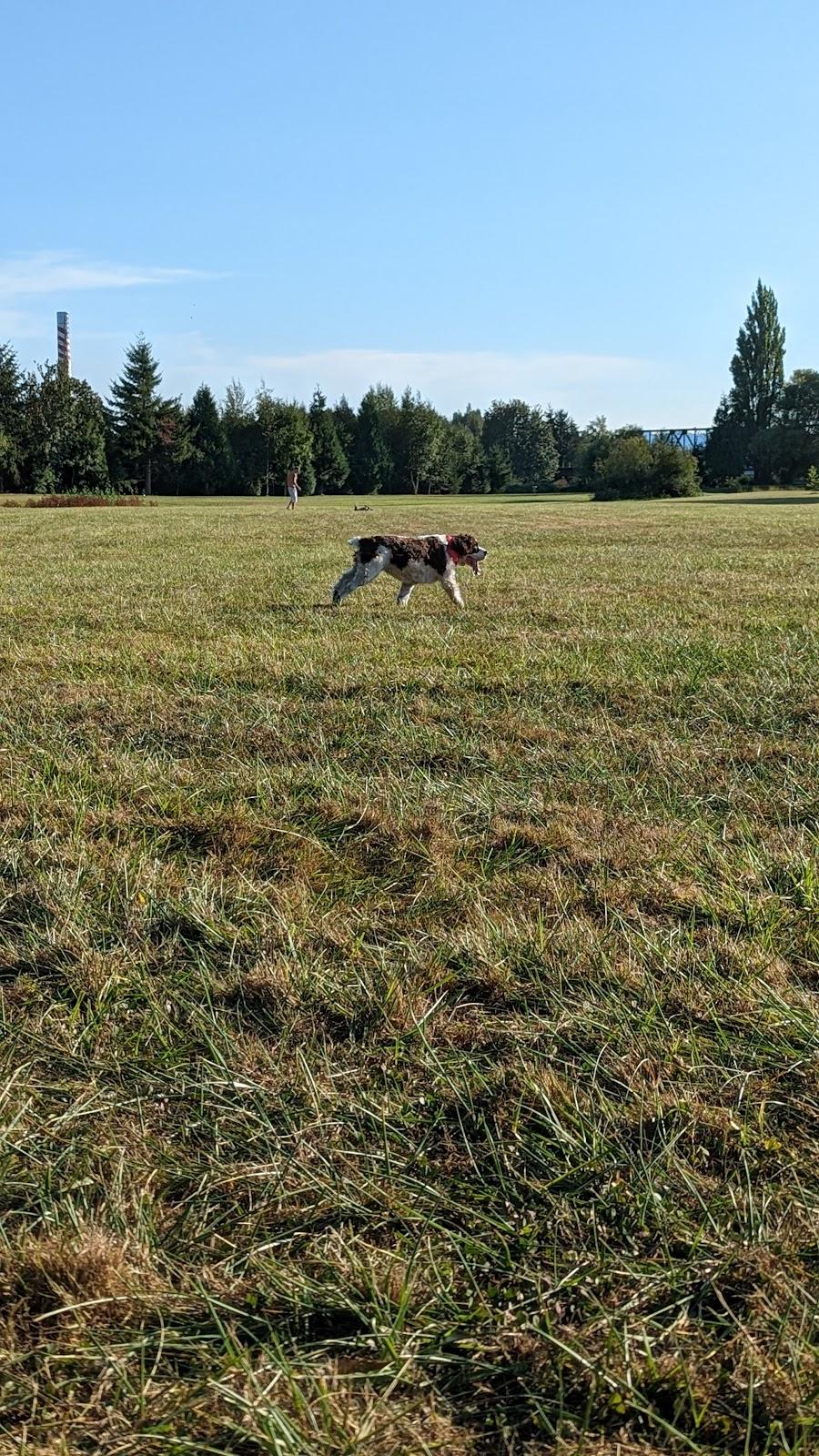 Sandee - HomePage / Ferndale