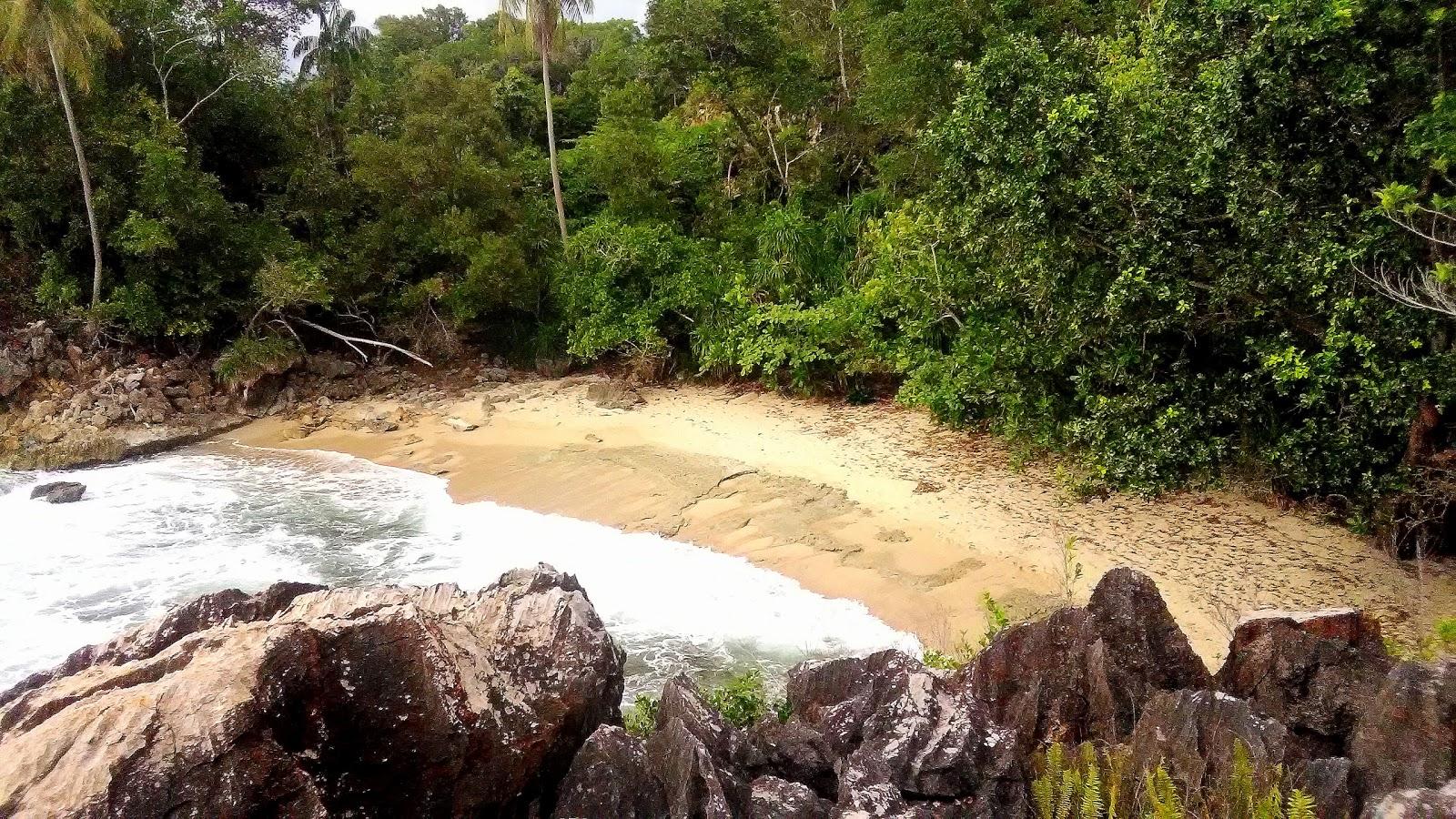 Sandee Cut Peulumat Beach