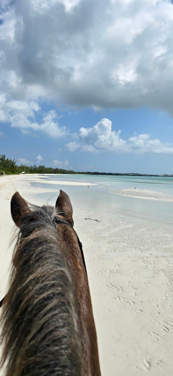 Sandee Five Cays Bay