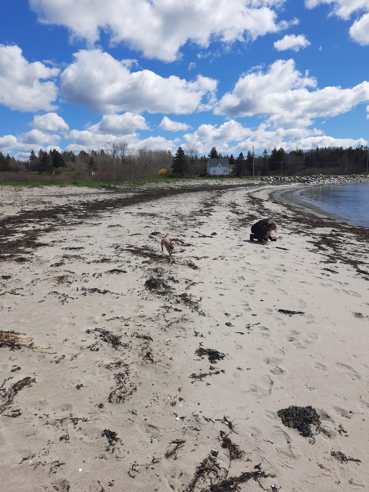 Sandee Broad Cove Beach