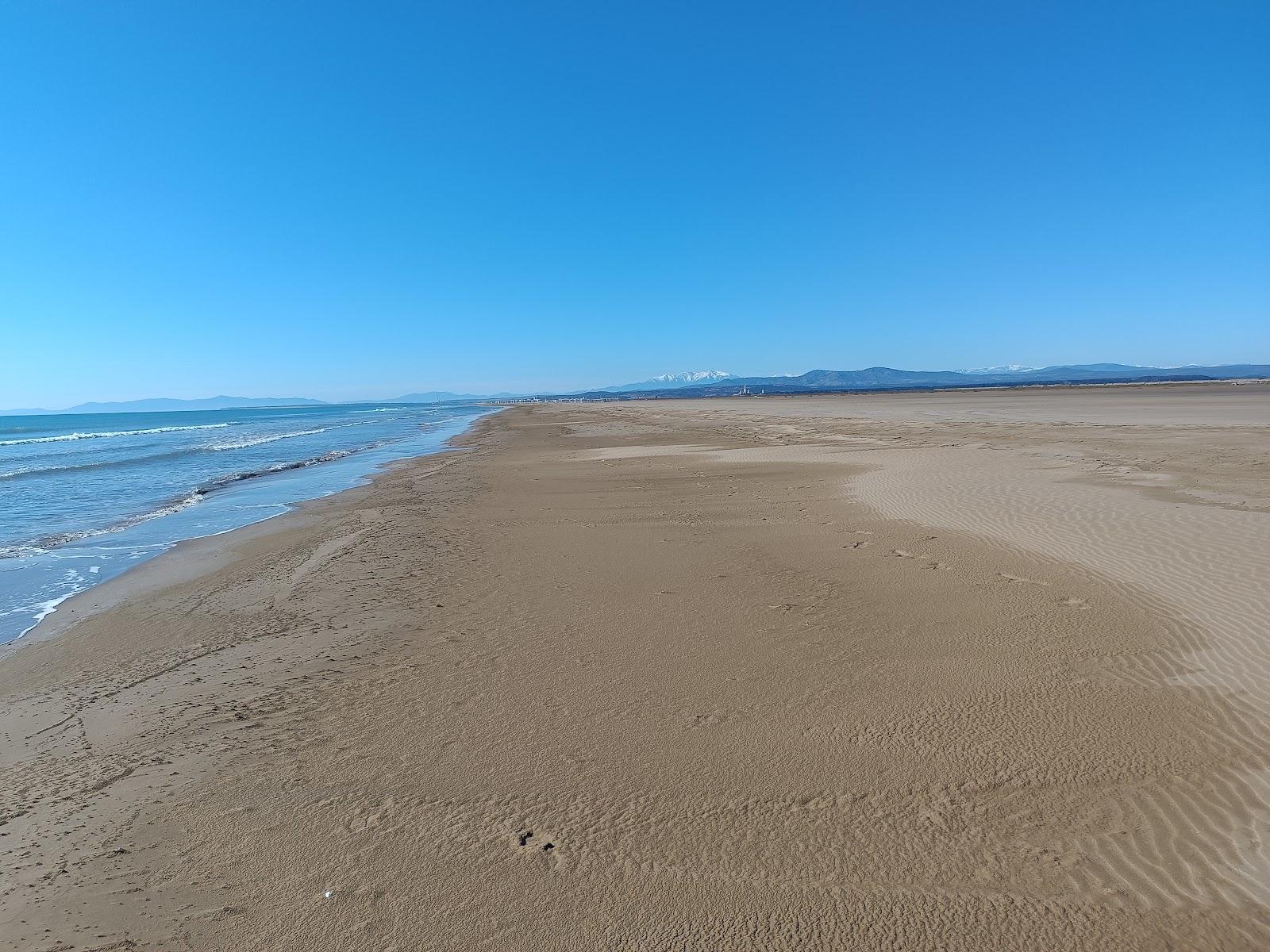 Sandee Plage Sauvage De La Vielle Nouvelle