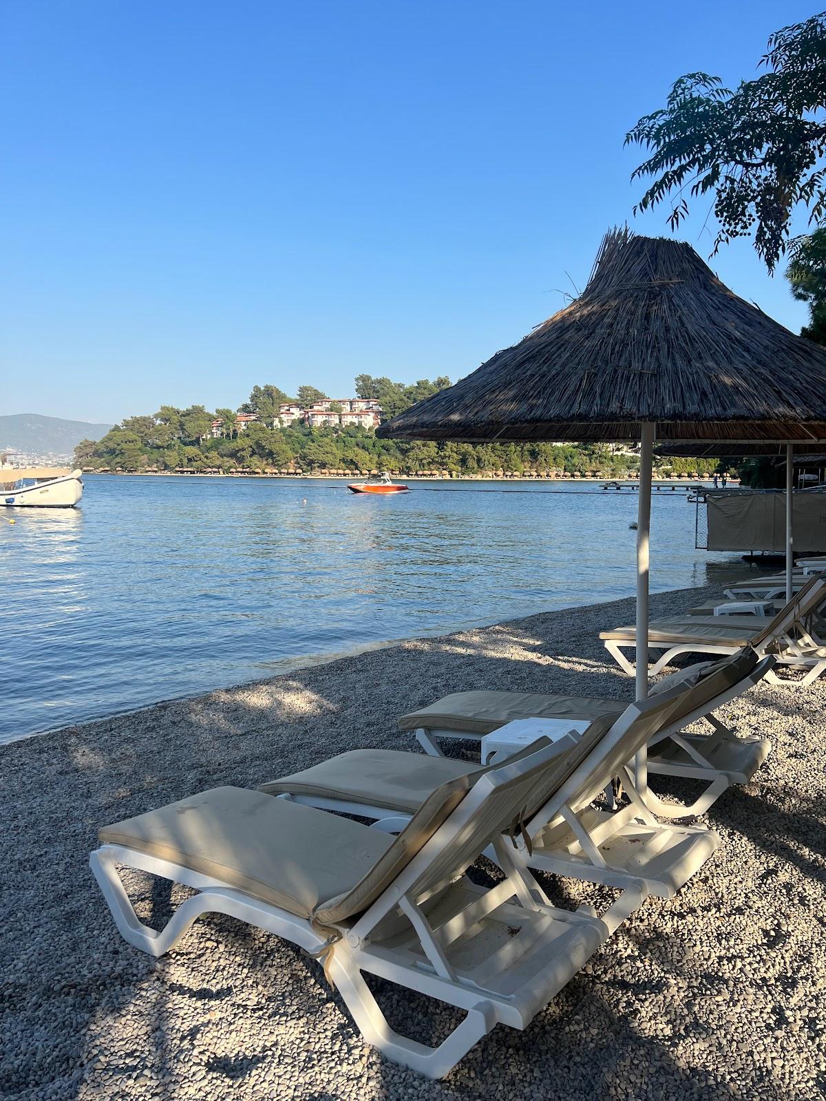 Sandee Alesta Beach Club