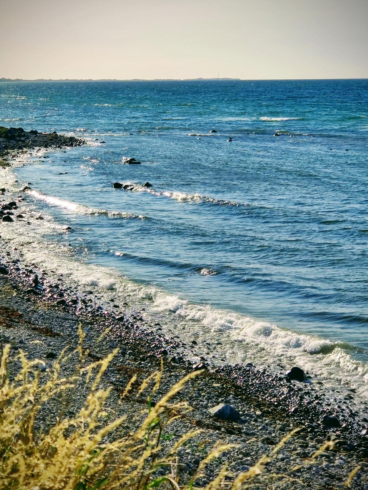 Sandee Ebbeløkke Strand