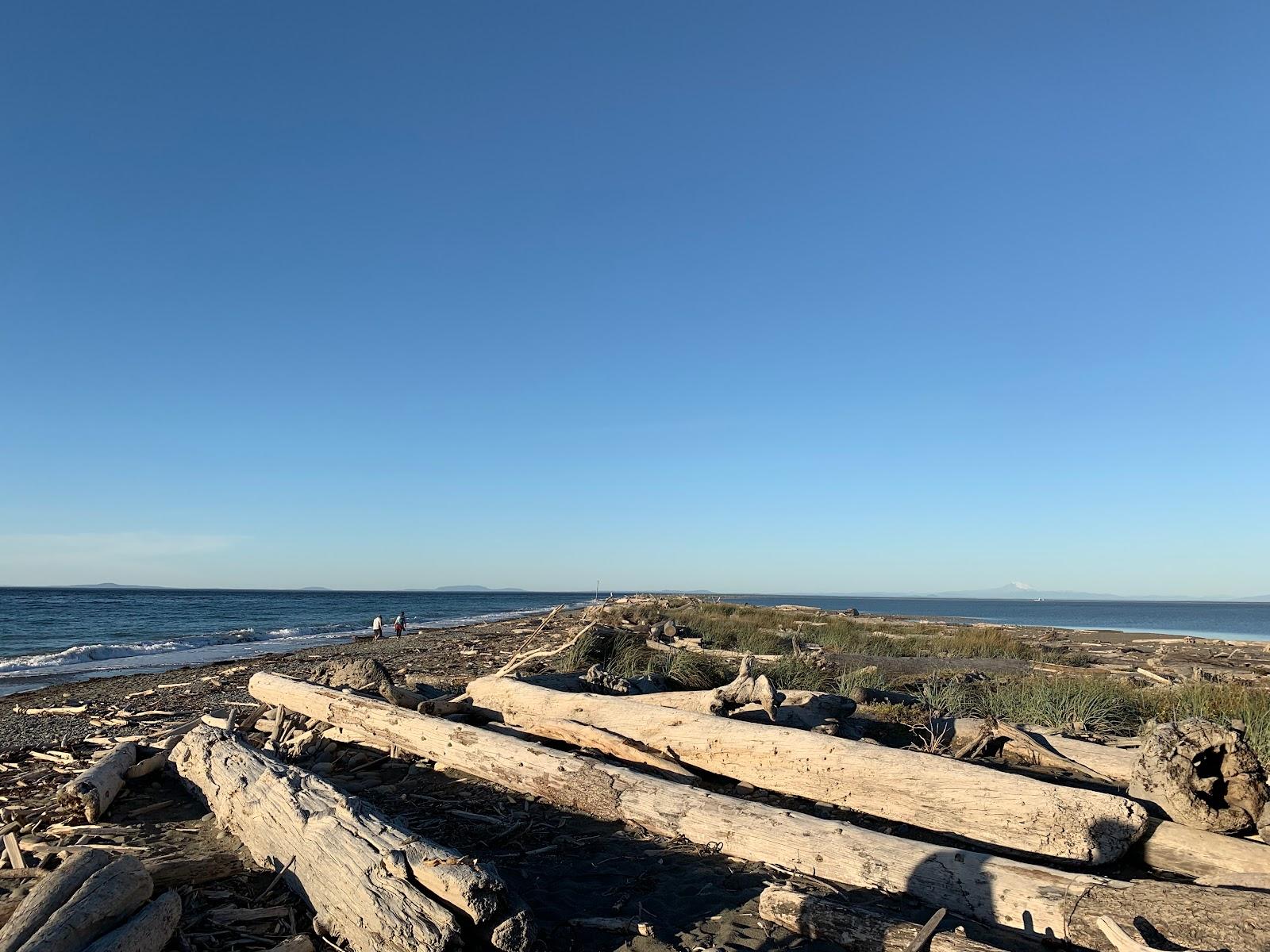 Sandee Dungeness Spit