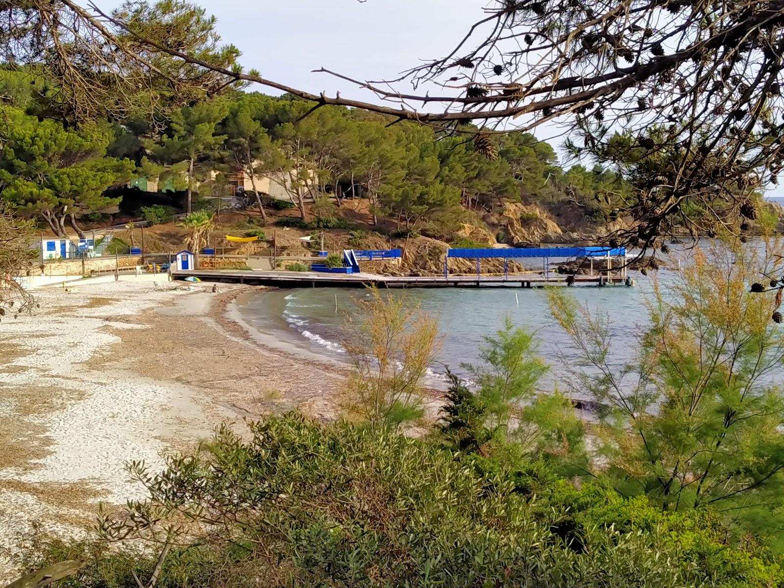 Sandee Beach De La Vignette