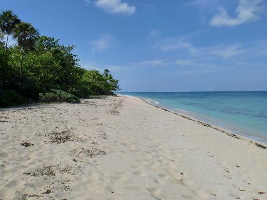 Sandee Playa Morrillo