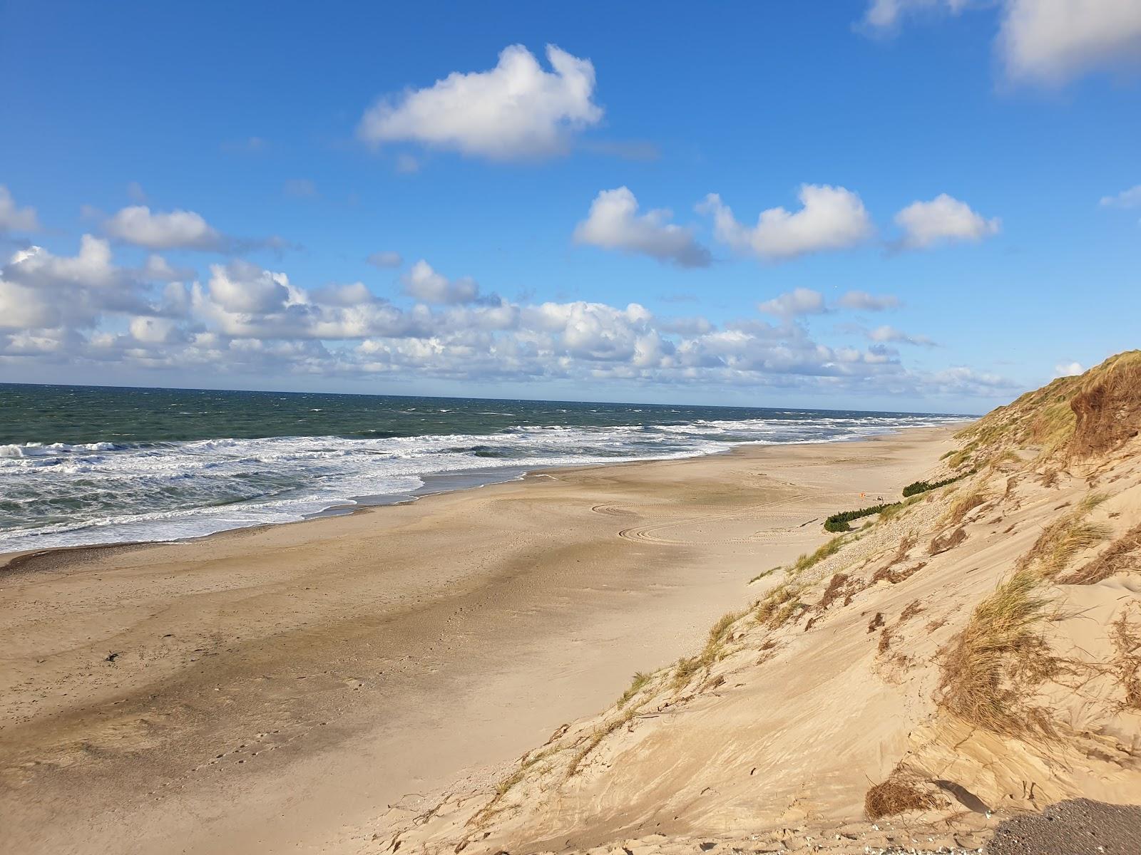 Sandee Lyngby Beach