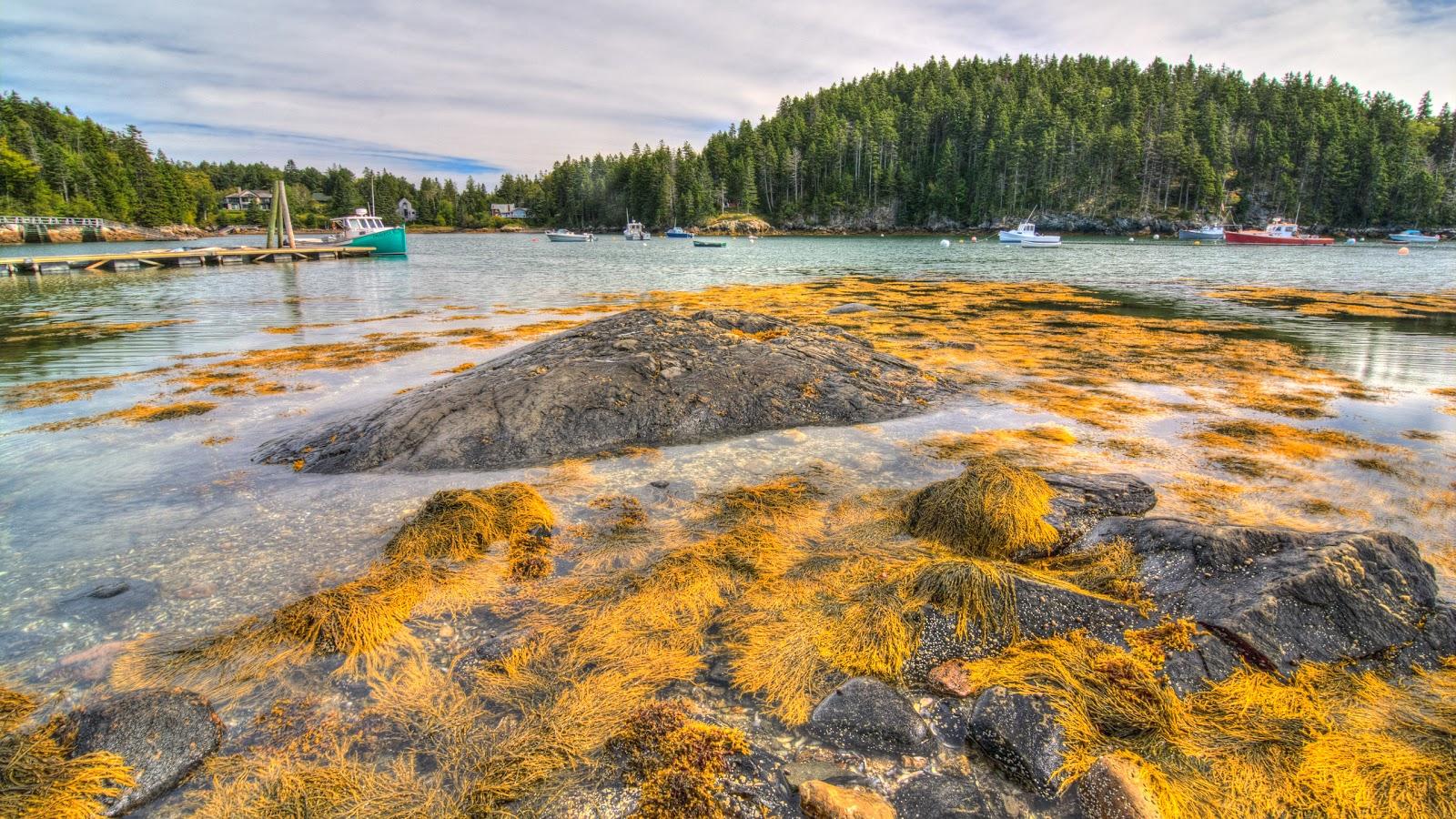 Sandee Seal Cove