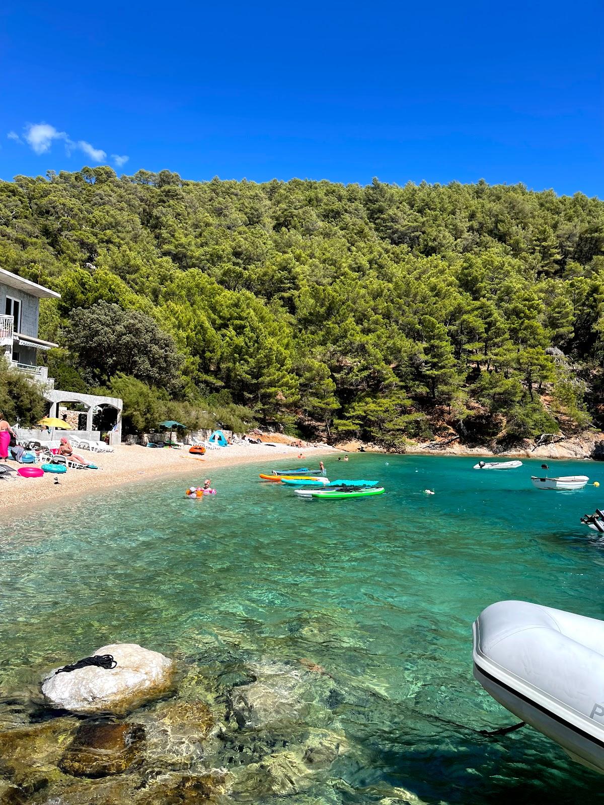 Sandee Beach Smokvica