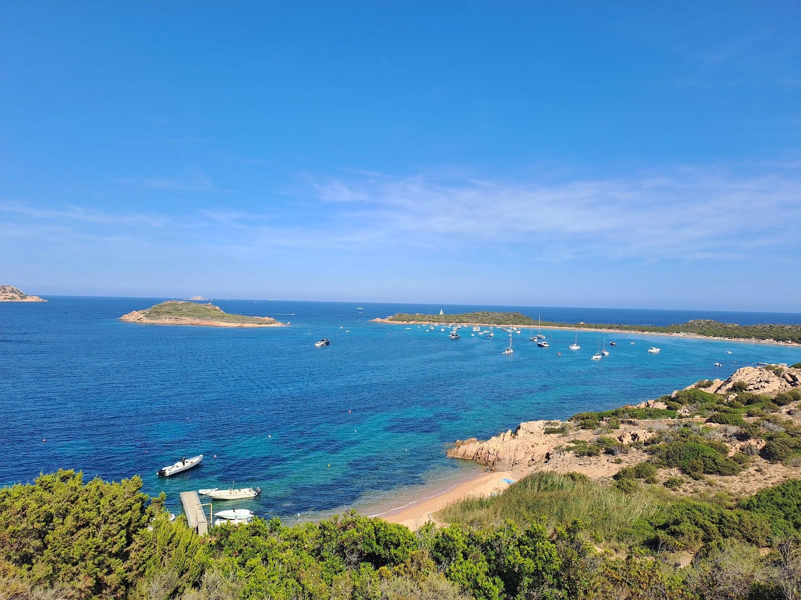 Sandee Spiaggia Di Punta Est