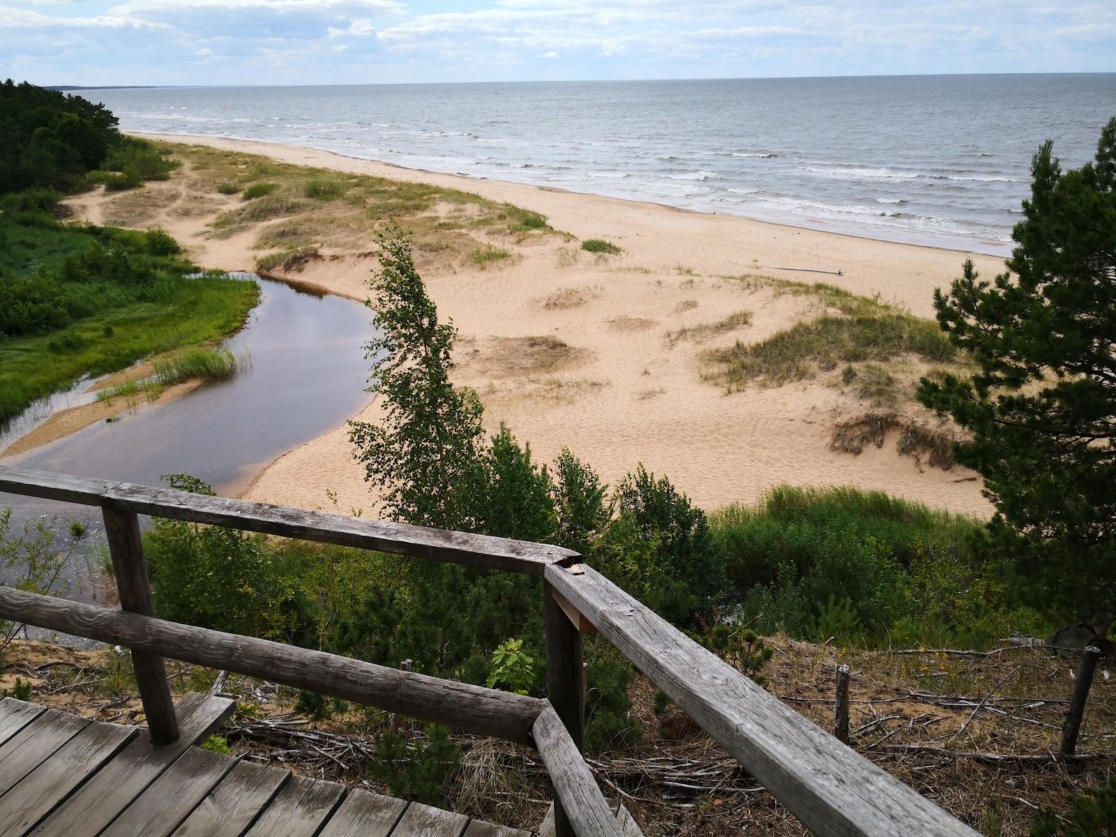 Sandee White Dune Beach
