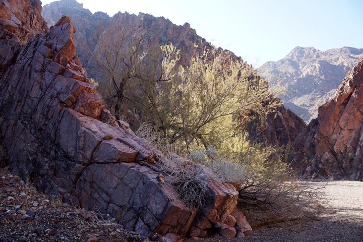 Sandee Cranes Nest Wash