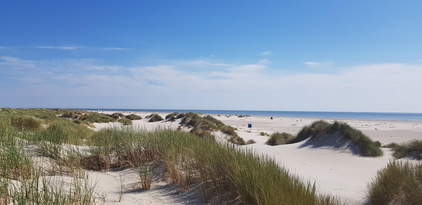 Sandee Fkk Strand Nebel