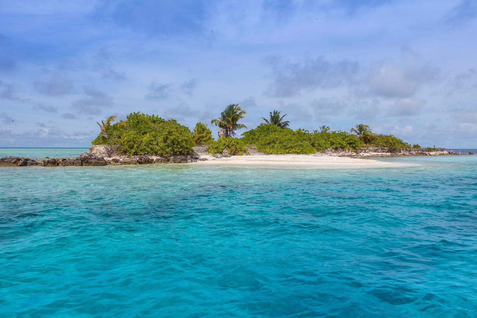 Felidhoo Photo - Sandee