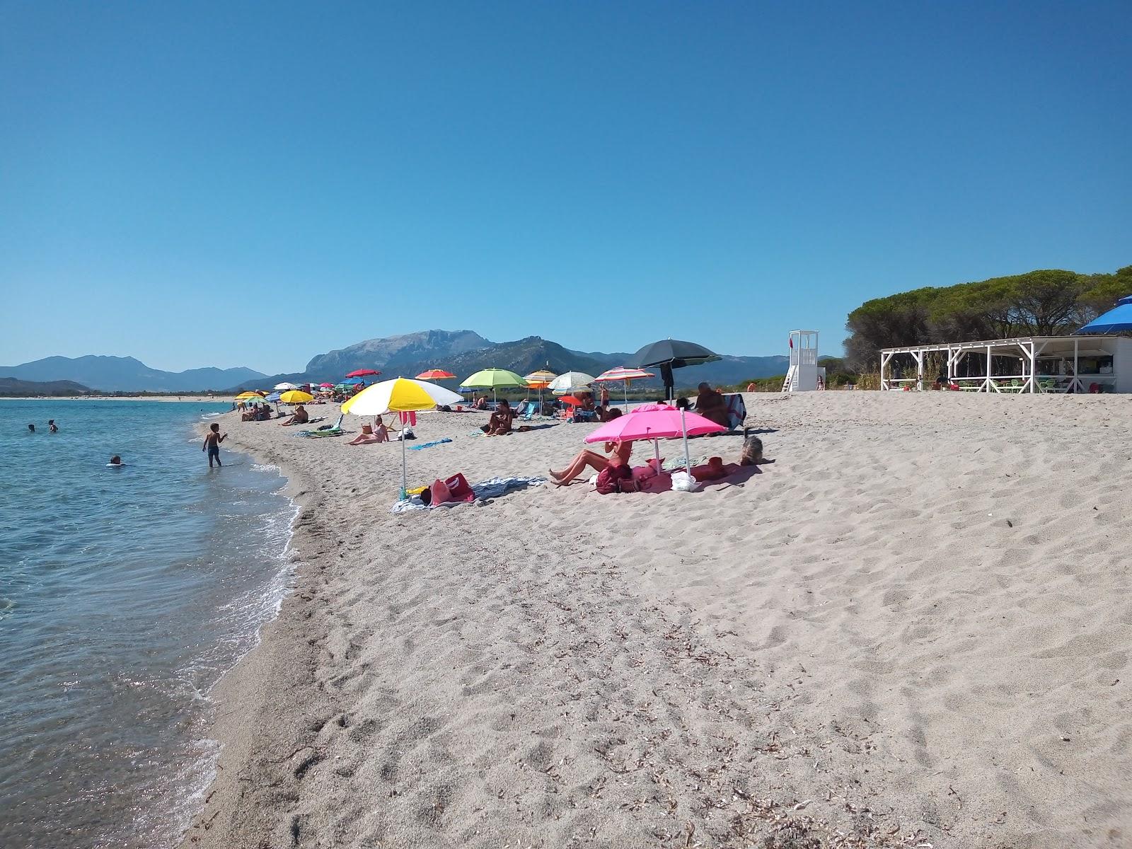Sandee Spiaggia Orvile