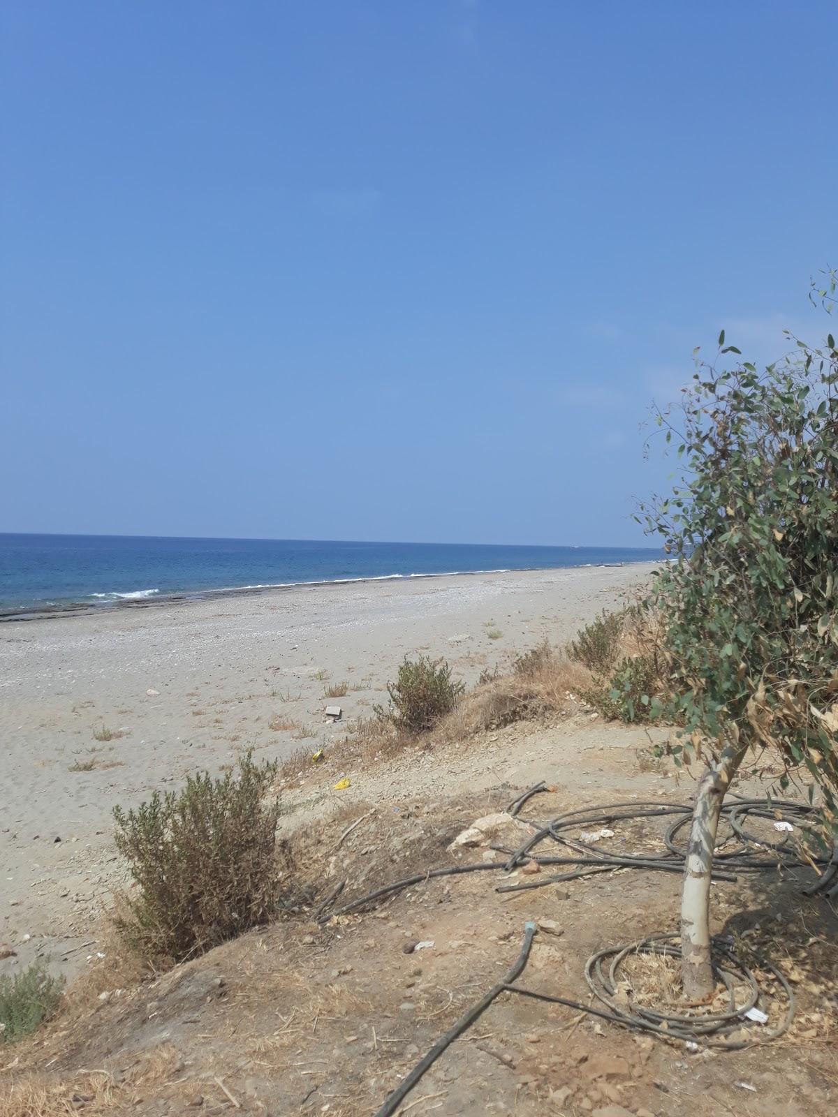 Sandee Demirtas Beach