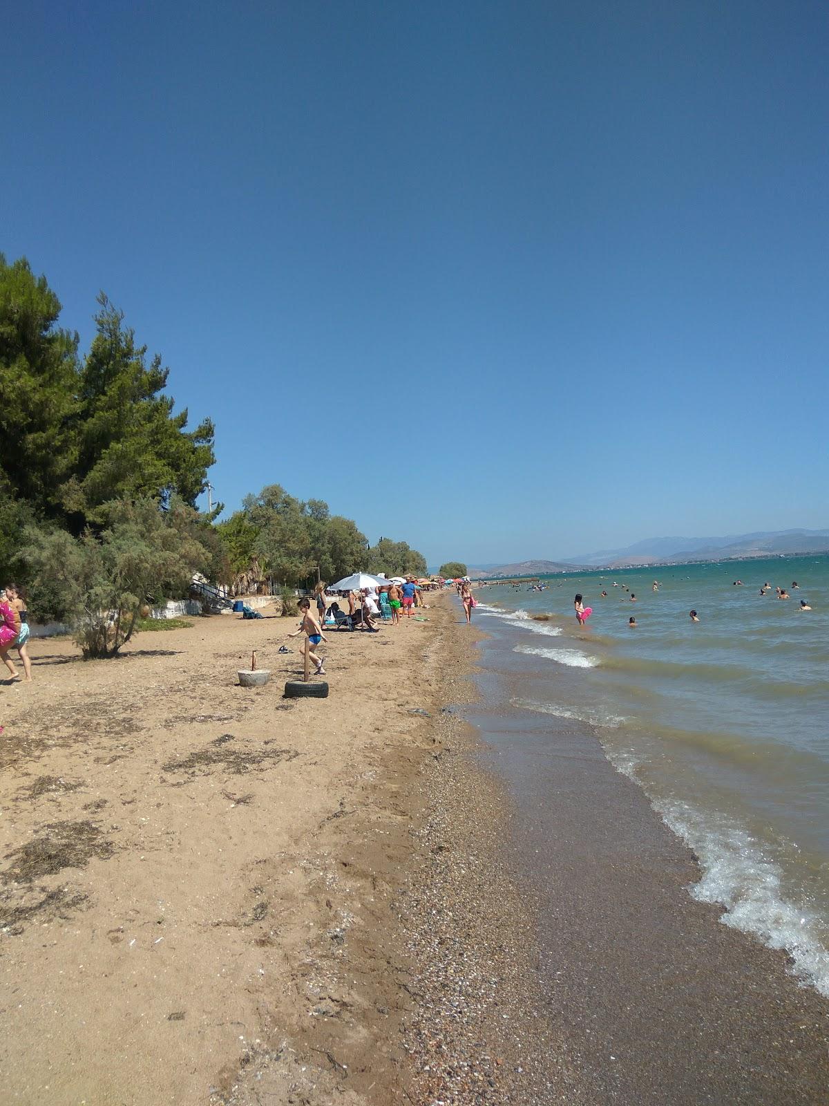 Sandee Avlida Beach