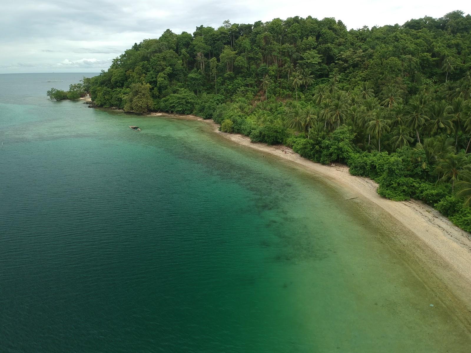Sandee - HomePage / Tungawan