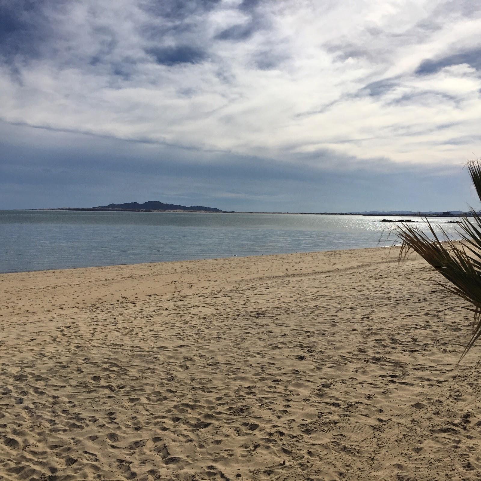 Sandee La Palapa Rv Camp