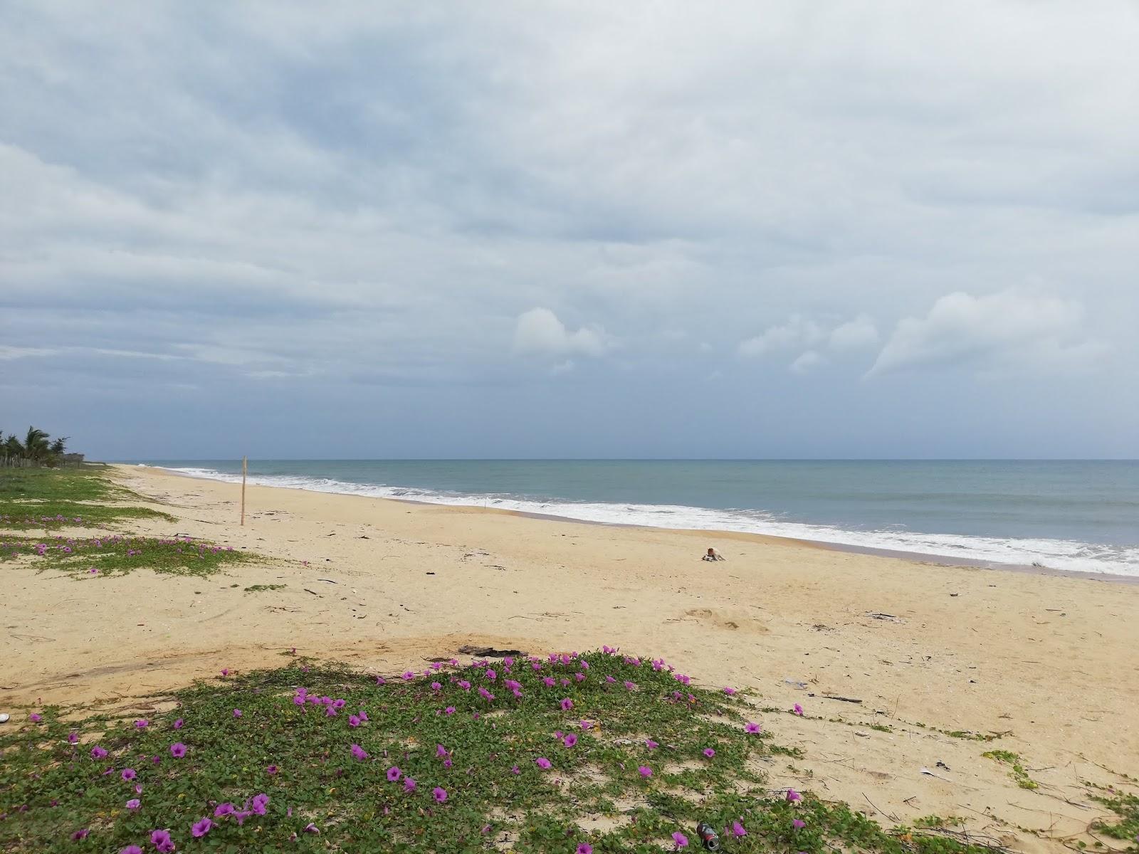 Sandee Whiskey Point Beach