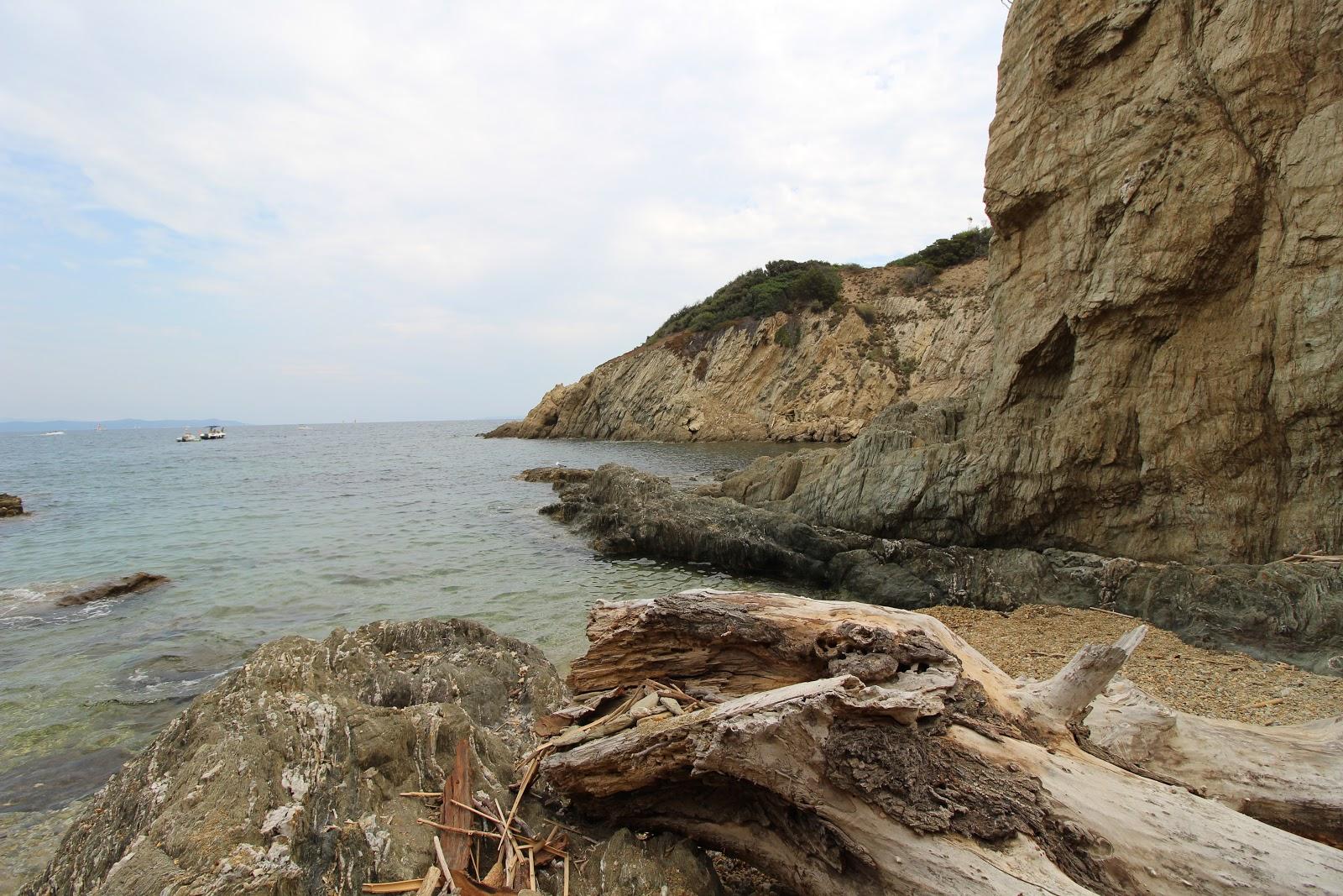 Sandee Plage Des Arbanais