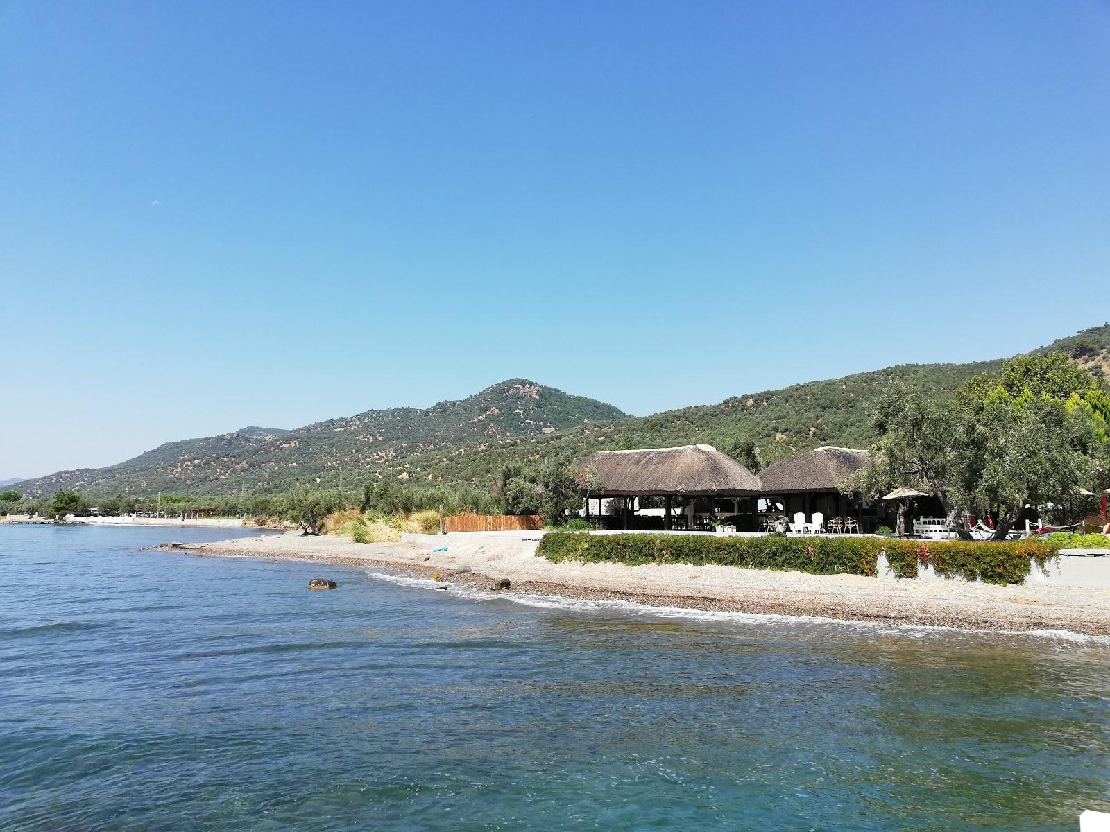 Sandee - HomePage / Yesilyurt