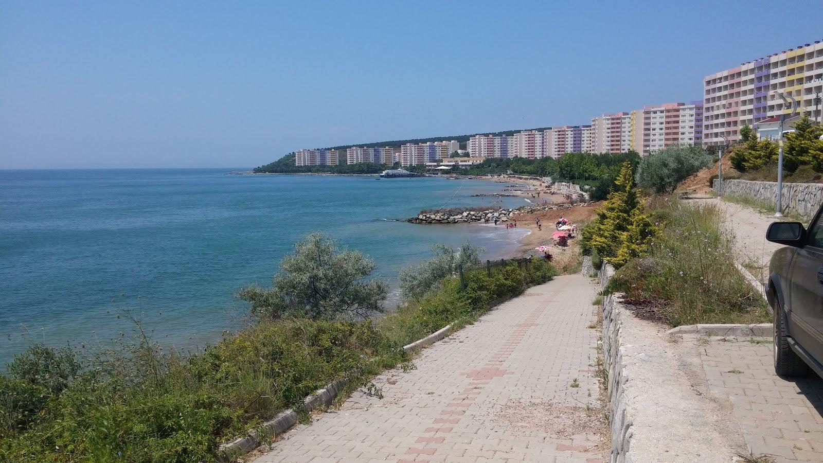 Sandee Armutly Tatil Koyu Yani Halk Plaji