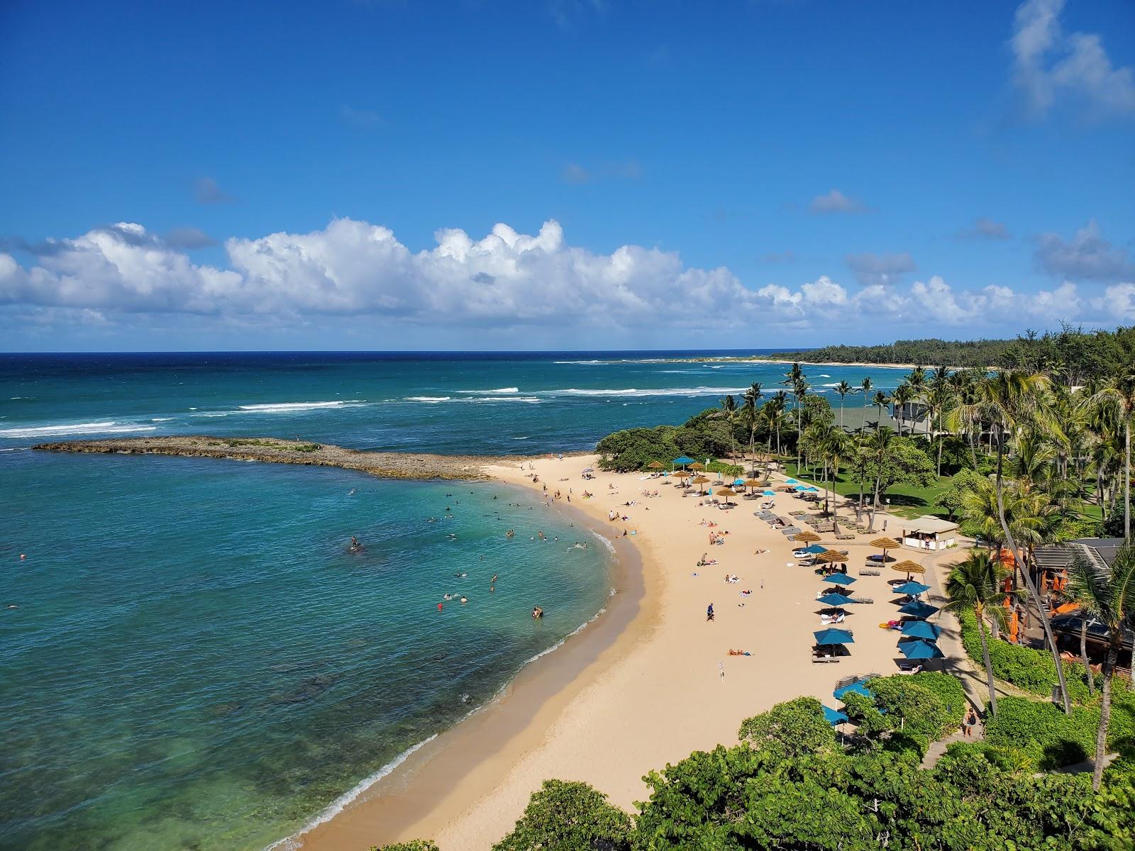 Sandee Turtle Bay Beach