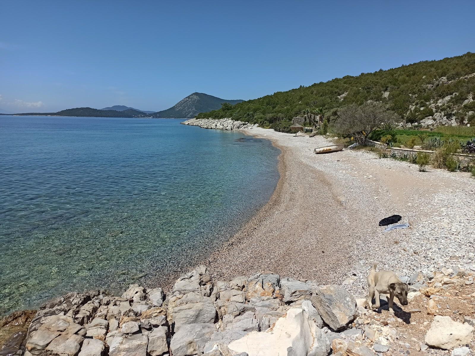 Sandee Dangir Koyu Yaliciftlik