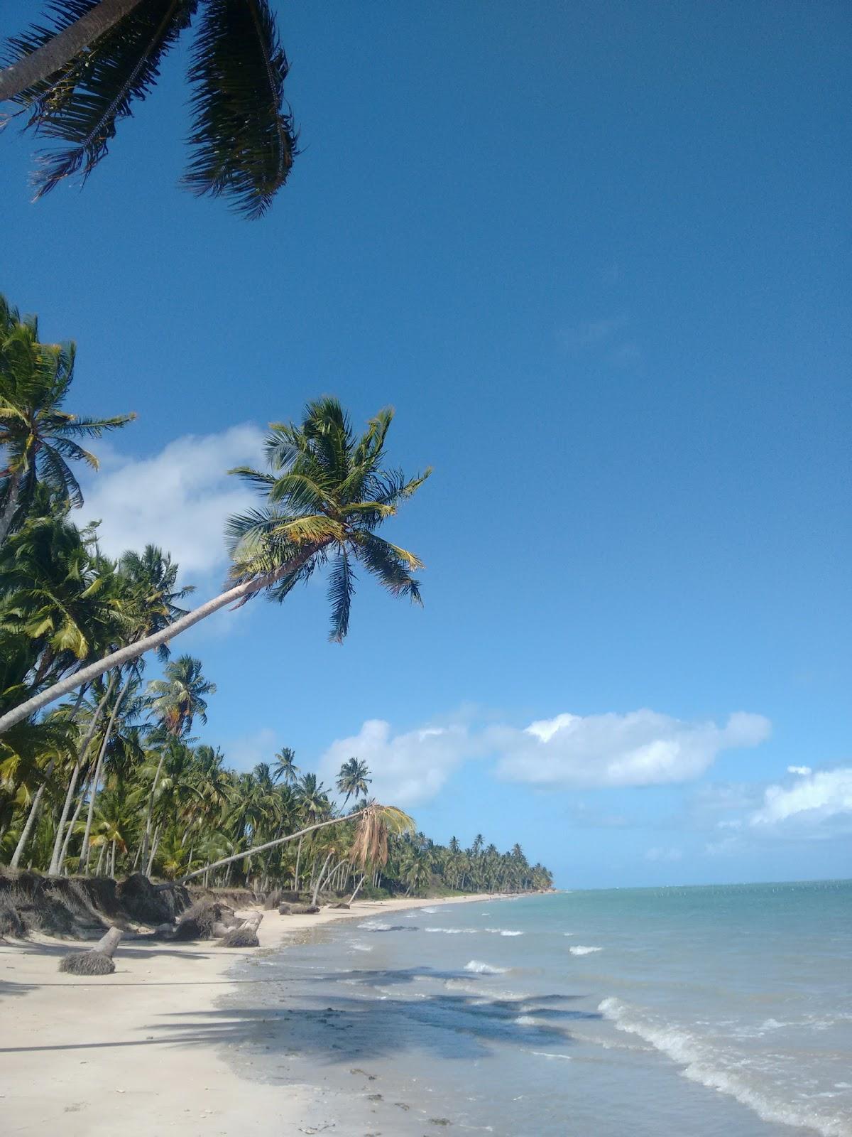 Sandee Barra De Camaragibe