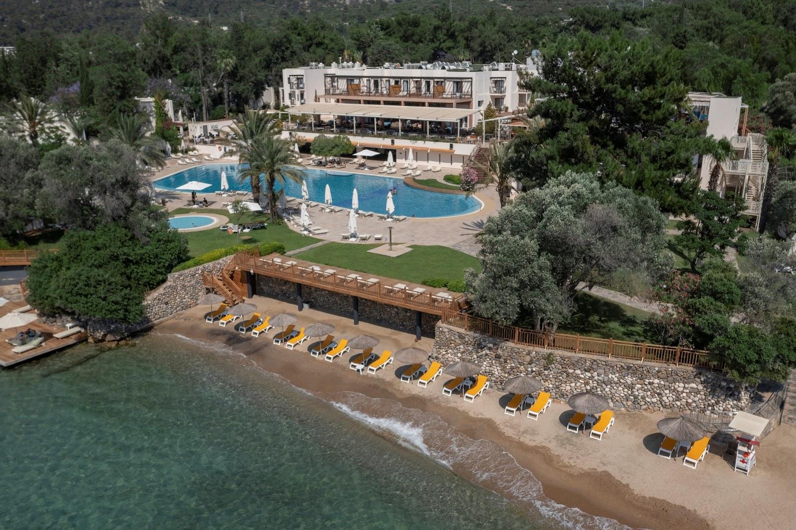 Sandee - HomePage / Torba